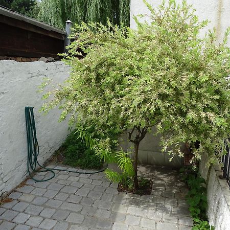 Mur 4 - Apartament Z Patio Stary Toruń エクステリア 写真