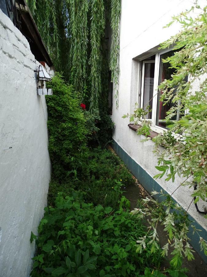 Mur 4 - Apartament Z Patio Stary Toruń エクステリア 写真