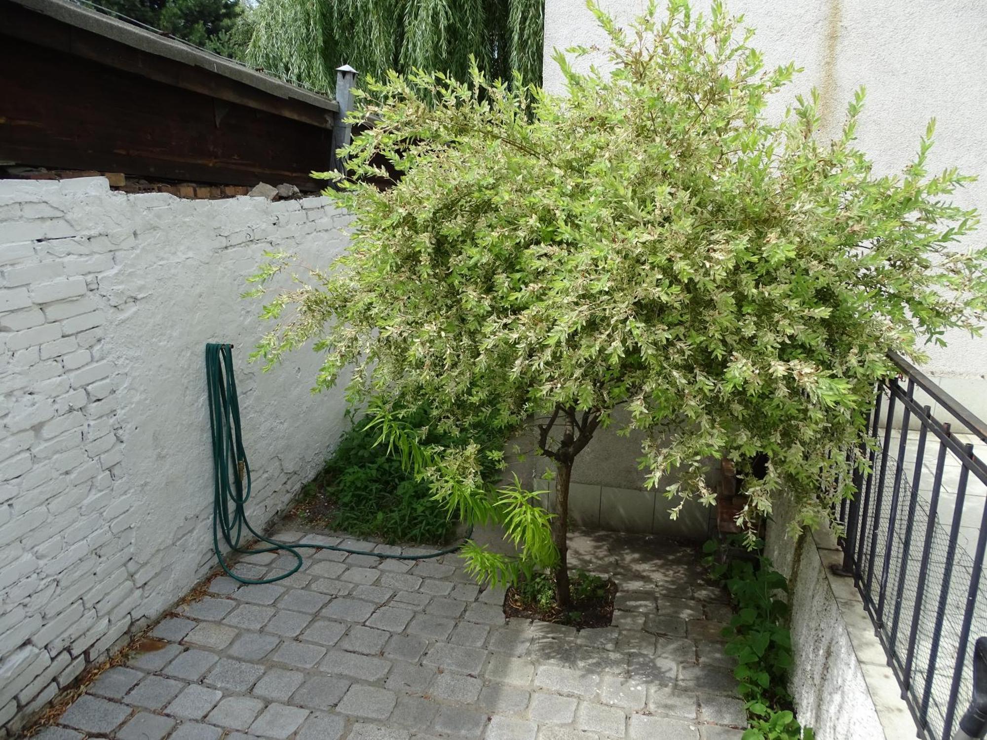 Mur 4 - Apartament Z Patio Stary Toruń エクステリア 写真